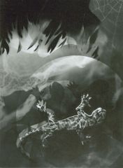 Der Salamander, 1977, aus der Folge Gaspard de la nuit, Print der Schadographie, Nr. 143, 25,5 x 19,5 cm, Edition G. A. Richter, Rottach-Egern